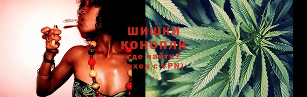 apvp Арсеньев