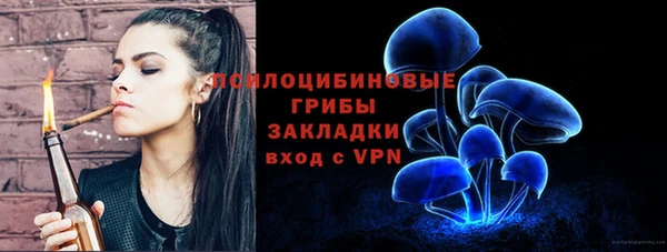 амф Аркадак