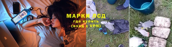 амф Аркадак