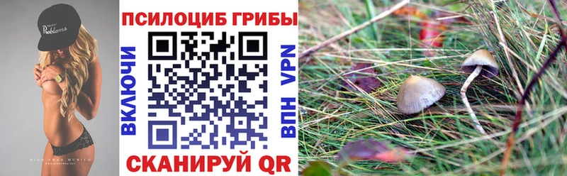 наркота  Отрадный  нарко площадка клад  Псилоцибиновые грибы мухоморы 